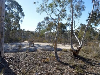 1245 Sandy Point Road Lower Boro NSW 2580 - Image 1