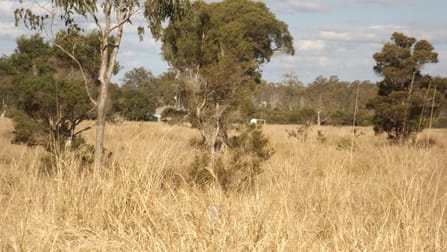 310 Ellangowan Rd Casino NSW 2470 - Image 3