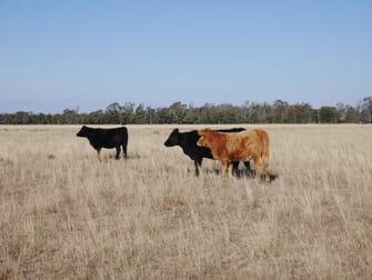 Click to view all images The Gums QLD 4406 - Image 1