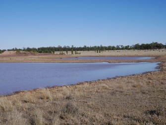 Tara QLD 4421 - Image 1