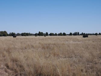 Tara QLD 4421 - Image 2
