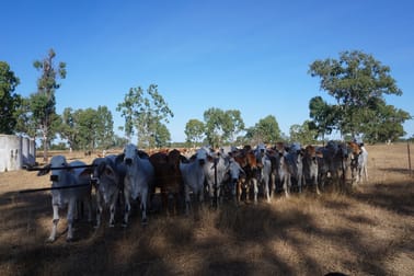 79 AIRSTRIP ROAD Nebo QLD 4742 - Image 2