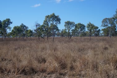 79 AIRSTRIP ROAD Nebo QLD 4742 - Image 3