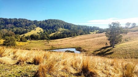 Lot 55 Sargents Road Homeleigh NSW 2474 - Image 1