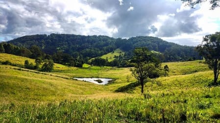 Lot 55 Sargents Road Homeleigh NSW 2474 - Image 3