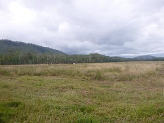 1/ Carrig Dhown Road Long Pocket QLD 4850 - Image 1