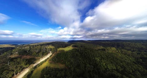 2636 Tathra-Bermagui Road Murrah NSW 2546 - Image 1