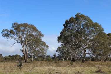 712 Powers Creek-Bourkes Bridge Road Kadnook VIC 3318 - Image 1