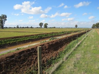 1271 Jerilderie Road Berrigan NSW 2712 - Image 2