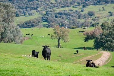 Ranch Road Tintaldra VIC 3708 - Image 2