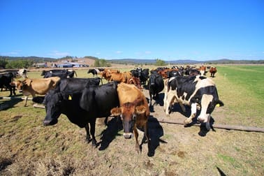 41 Heise Rd Hatton Vale QLD 4341 - Image 3