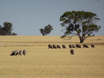 Balmain 3066 Bullaring Rd East Pingelly WA 6308 - Image 1