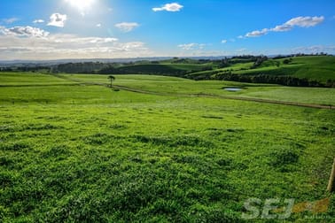 345 Old Koonwarra - Meeniyan Road Koonwarra VIC 3954 - Image 1