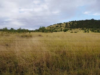 400 ACRES CATTLE GRAZING Cooranga QLD 4408 - Image 2