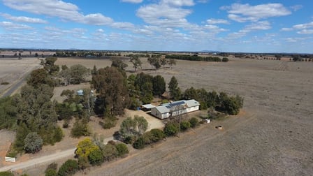 120 "Keewong Park" Wongajong Rd Forbes NSW 2871 - Image 1