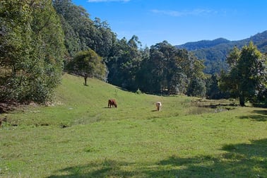 Click to view all images 679 Urliup Road Urliup NSW 2484 - Image 3