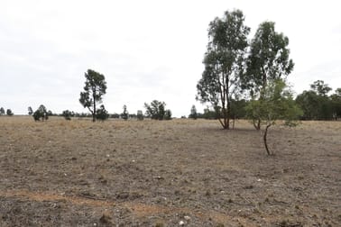 Lot 152 Cooks Hill Lane Alectown NSW 2870 - Image 2
