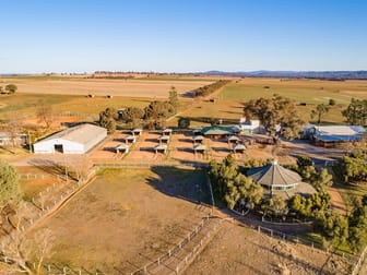 1203 Rivers Road Canowindra NSW 2804 - Image 3