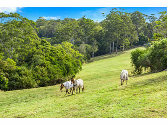 37 City View Drive East Lismore NSW 2480 - Image 3