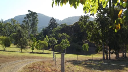 Mount Charlton QLD 4741 - Image 1