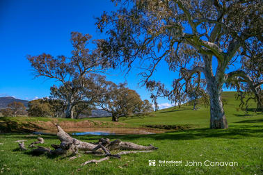347 Mt Battery Road Mansfield VIC 3722 - Image 3