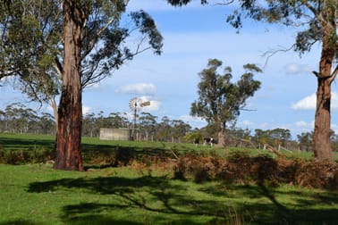 2450 Cobden Warrnambool Road Naringal East VIC 3277 - Image 3