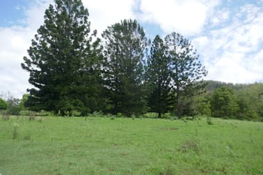 1735 Afterlee Road Kyogle NSW 2474 - Image 3