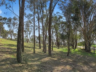 Lot 8, 206 Lesters Lane Mudgee NSW 2850 - Image 3
