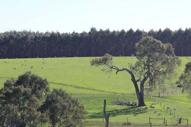 443 Cavendish-Glendinning Road Cavendish VIC 3314 - Image 2
