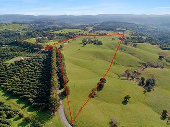 1321 Dunoon Road Dunoon NSW 2480 - Image 3