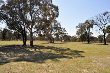 1318 Cope Road Gulgong NSW 2852 - Image 2
