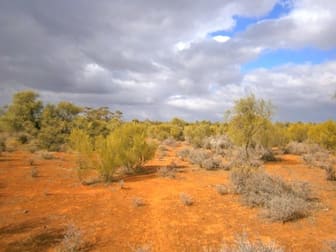 Section 416, Eba Vale Road Morgan SA 5320 - Image 3