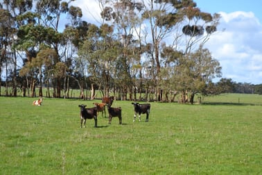 Corner of Bailey's Road & Hickey's Road Nullawarre VIC 3268 - Image 2