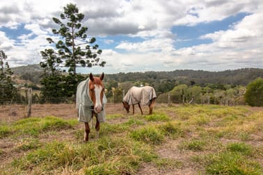 323 Grandview Road Pullenvale QLD 4069 - Image 3