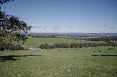 Lot 1/435 Beenak Road Yellingbo VIC 3139 - Image 2