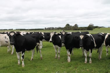 15 Kerrs Road Ondit VIC 3249 - Image 1