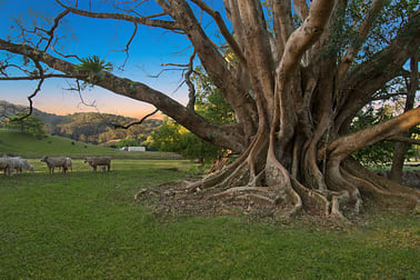 963 Main Arm Road Main Arm NSW 2482 - Image 3