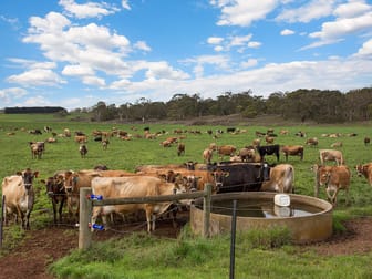 679 Jancourt Road Tandarook VIC 3260 - Image 3