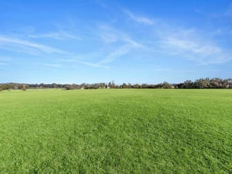 864 Old North Road Pokolbin NSW 2320 - Image 3