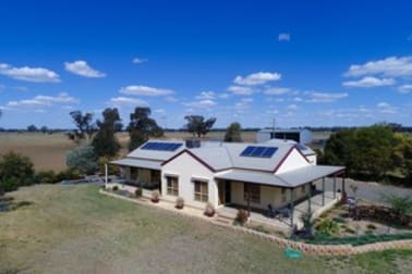 91 Carrawobitty Lane Forbes NSW 2871 - Image 1