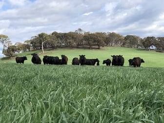 Click to view all images 1269 Beaconsfield Road Oberon NSW 2787 - Image 3