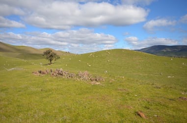 CA 209 Townsing Road Amphitheatre VIC 3468 - Image 1