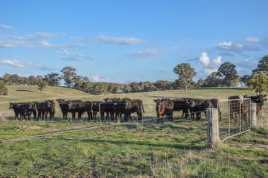 8250 Castlereagh Highway Mudgee NSW 2850 - Image 2