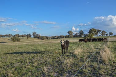 8250 Castlereagh Highway Mudgee NSW 2850 - Image 3