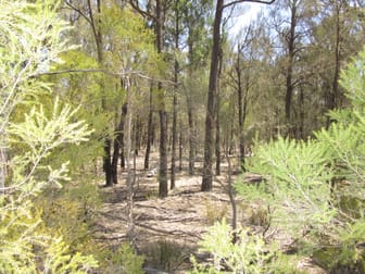 LOT 306 HAPPY LANE Tara QLD 4421 - Image 1