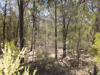 LOT 306 HAPPY LANE Tara QLD 4421 - Image 2