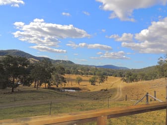 419 Bakers Creek Road Gloucester NSW 2422 - Image 2