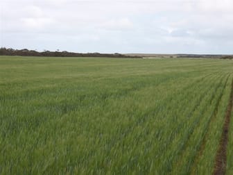 1204 Pordia Road Wudinna SA 5652 - Image 3