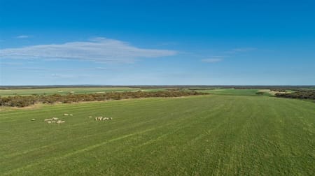 1204 Pordia Road Wudinna SA 5652 - Image 2