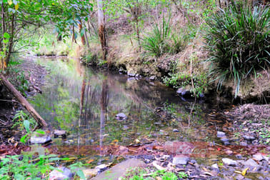 637 Dees Road Belbora NSW 2422 - Image 3